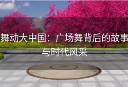 舞动大中国：广场舞背后的故事与时代风采