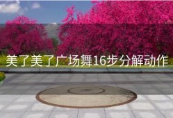 美了美了广场舞16步分解动作