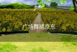 广场舞裙京东