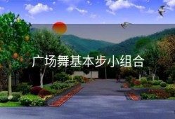 广场舞基本步小组合