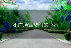 dj广场舞爷们的心声