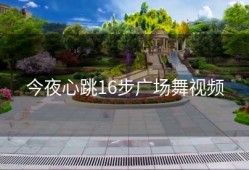 今夜心跳16步广场舞视频