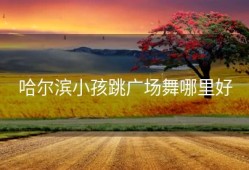 哈尔滨小孩跳广场舞哪里好