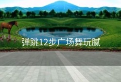 弹跳12步广场舞玩腻