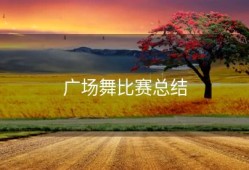 广场舞比赛总结