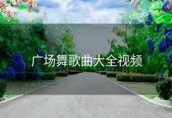 广场舞歌曲大全视频