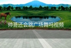 帅哥还会跳广场舞吗视频