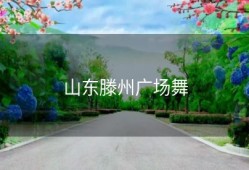 山东滕州广场舞