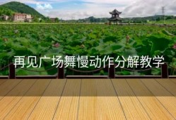 再见广场舞慢动作分解教学