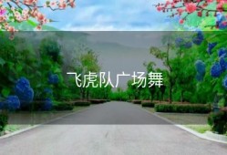 飞虎队广场舞