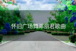 怀旧广场舞邓丽君歌曲