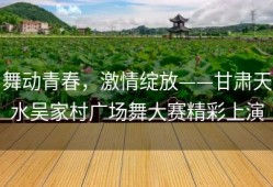 舞动青春，激情绽放——甘肃天水吴家村广场舞大赛精彩上演