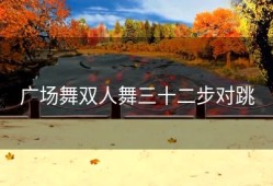 广场舞双人舞三十二步对跳