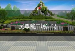 吴尊跳广场舞吗