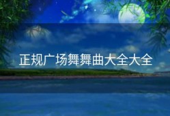 正规广场舞舞曲大全大全