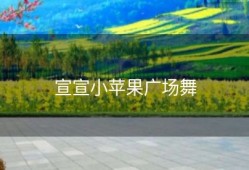 宣宣小苹果广场舞