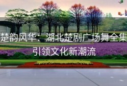 楚韵风华：湖北楚剧广场舞全集引领文化新潮流