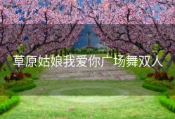 草原姑娘我爱你广场舞双人