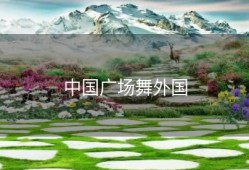 中国广场舞外国