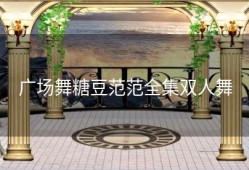 广场舞糖豆范范全集双人舞