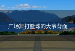 广场舞打篮球的大爷背面