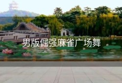 男版倔强麻雀广场舞