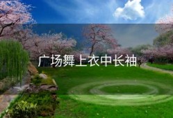 广场舞上衣中长袖