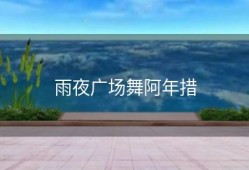 雨夜广场舞阿年措