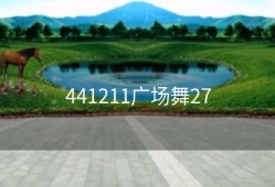 441211广场舞27