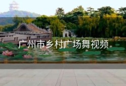广州市乡村广场舞视频