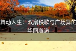 舞动人生：双扇秧歌与广场舞的华丽邂逅