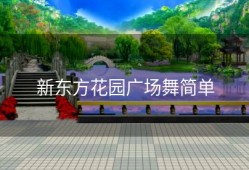 新东方花园广场舞简单