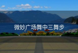 微妙广场舞中三舞步