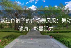 紫红色裤子的广场舞风采：舞动健康，彰显活力