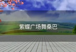 紫蝶广场舞桑巴