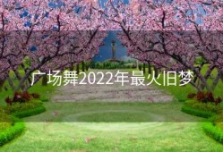 广场舞2022年最火旧梦
