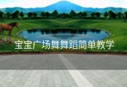 宝宝广场舞舞蹈简单教学