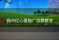 梅州红心蜜柚广场舞教学