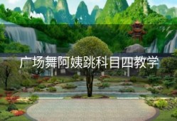 广场舞阿姨跳科目四教学