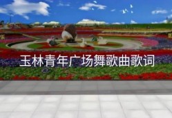 玉林青年广场舞歌曲歌词
