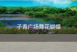 子青广场舞花蝴蝶