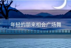 年轻的朋来相会广场舞