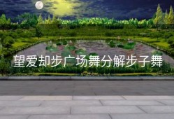 望爱却步广场舞分解步子舞