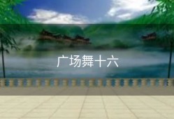 广场舞十六