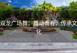双龙广场舞：舞动青春，传承文化