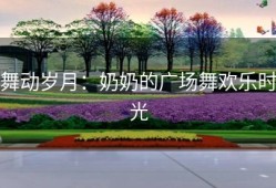 舞动岁月：奶奶的广场舞欢乐时光