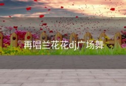 再唱兰花花dj广场舞