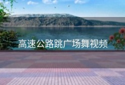 高速公路跳广场舞视频