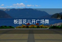 板蓝花儿开广场舞