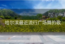 哈尔滨最近流行广场舞的歌